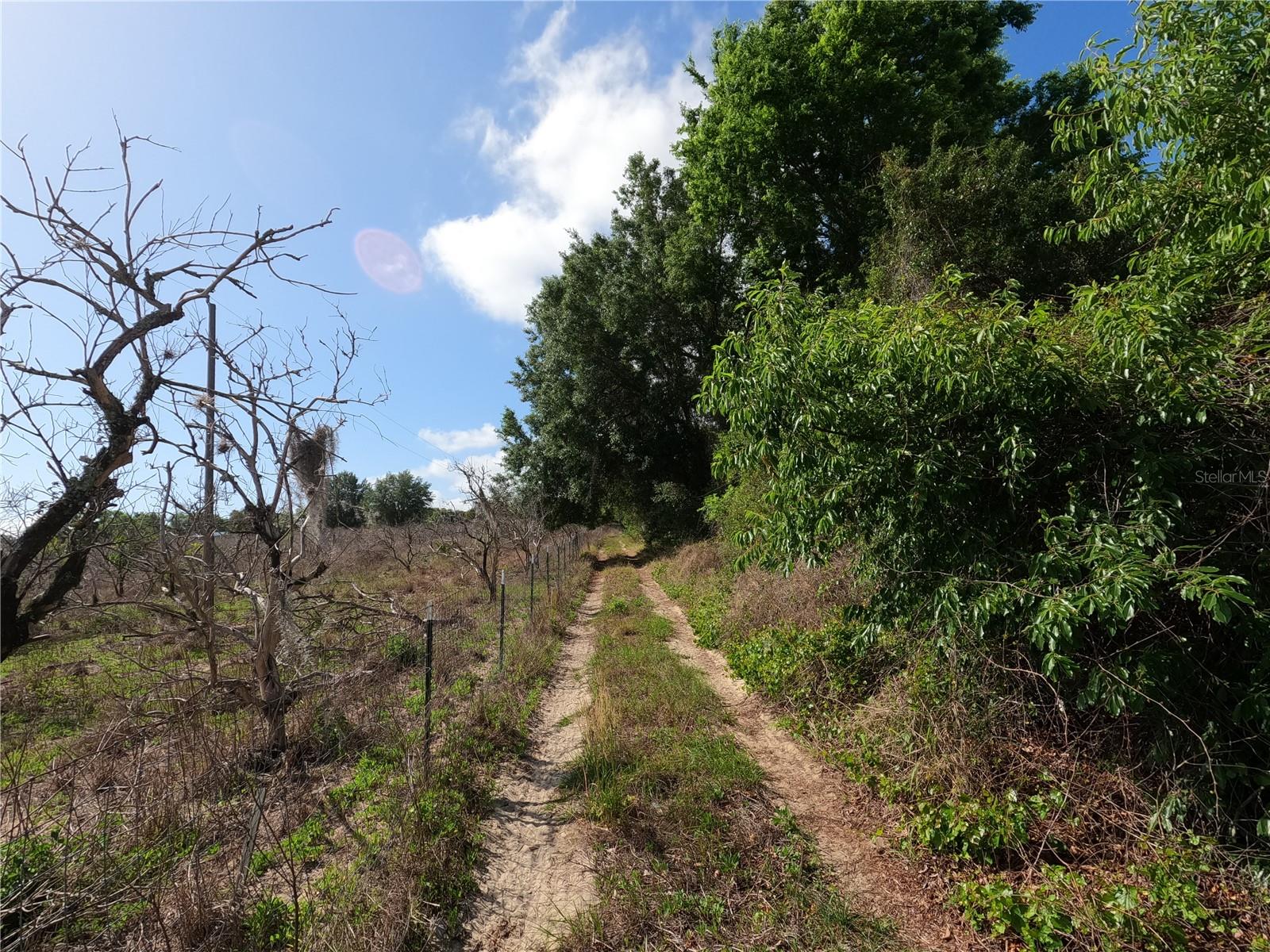 0 Earth Star Ln Property Photo 51