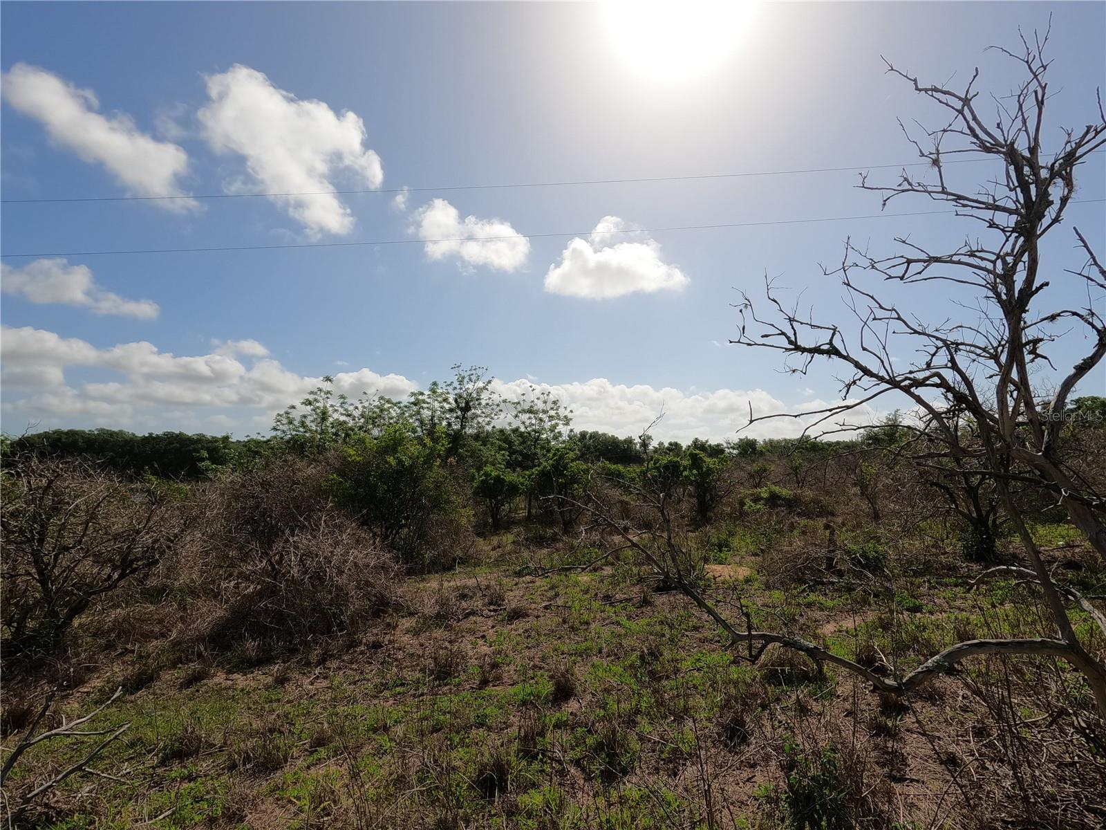 0 Earth Star Ln Property Photo 52