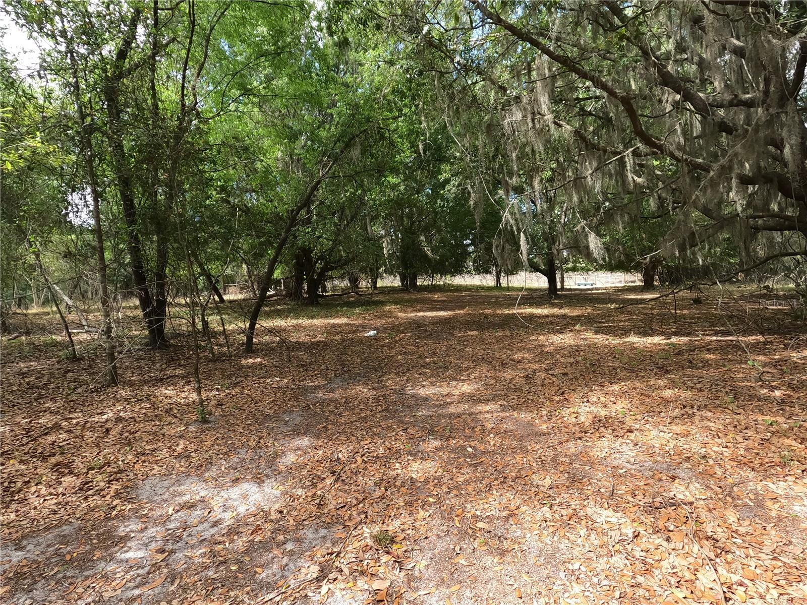 0 Earth Star Ln Property Photo 53