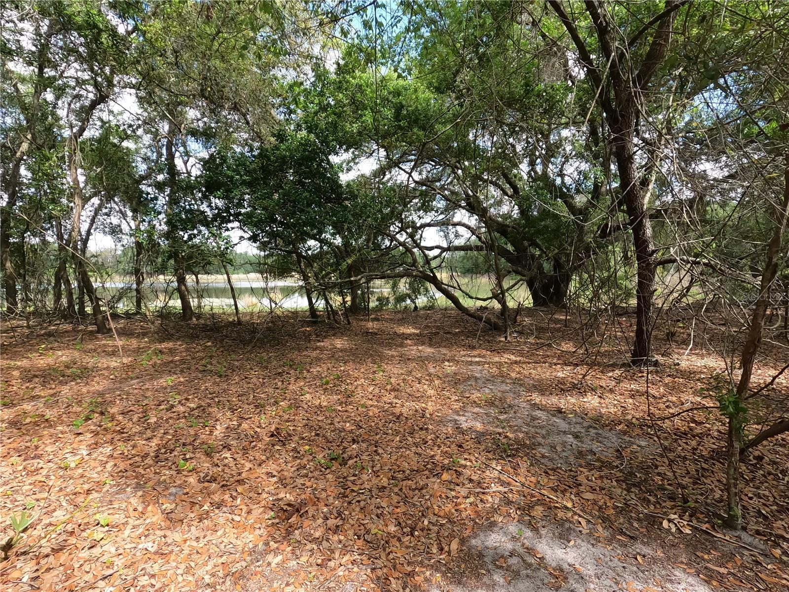 0 Earth Star Ln Property Photo 54