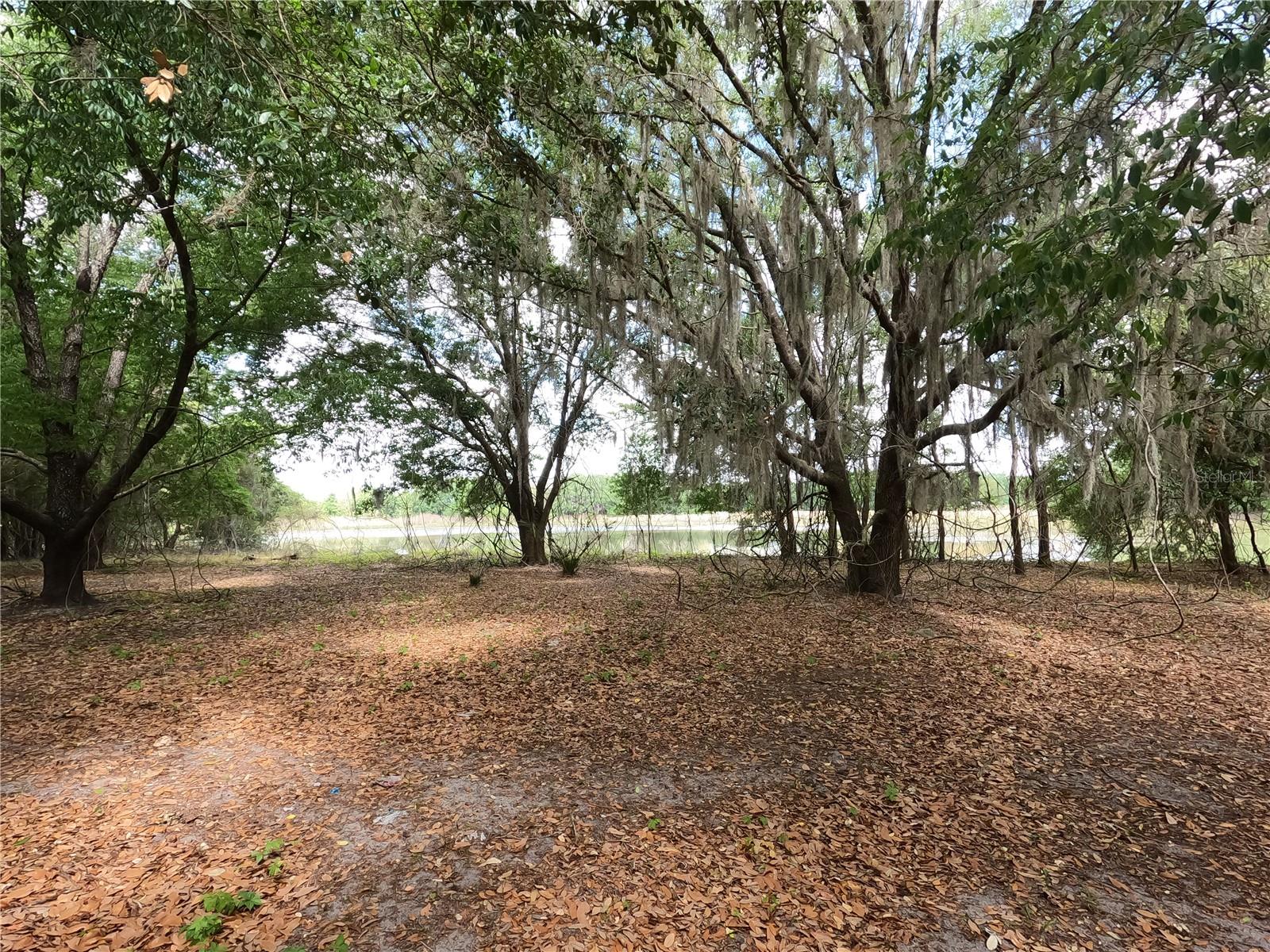 0 Earth Star Ln Property Photo 56