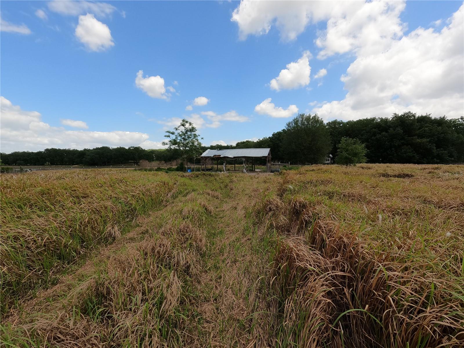 0 Earth Star Ln Property Photo 68