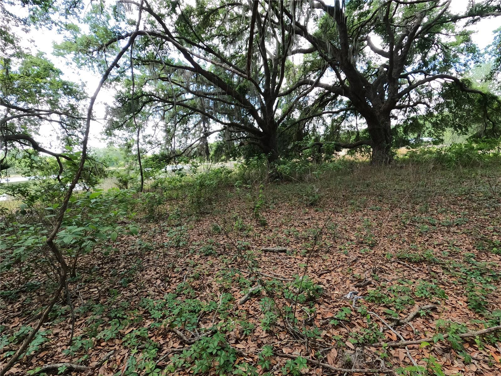0 Earth Star Ln Property Photo 77