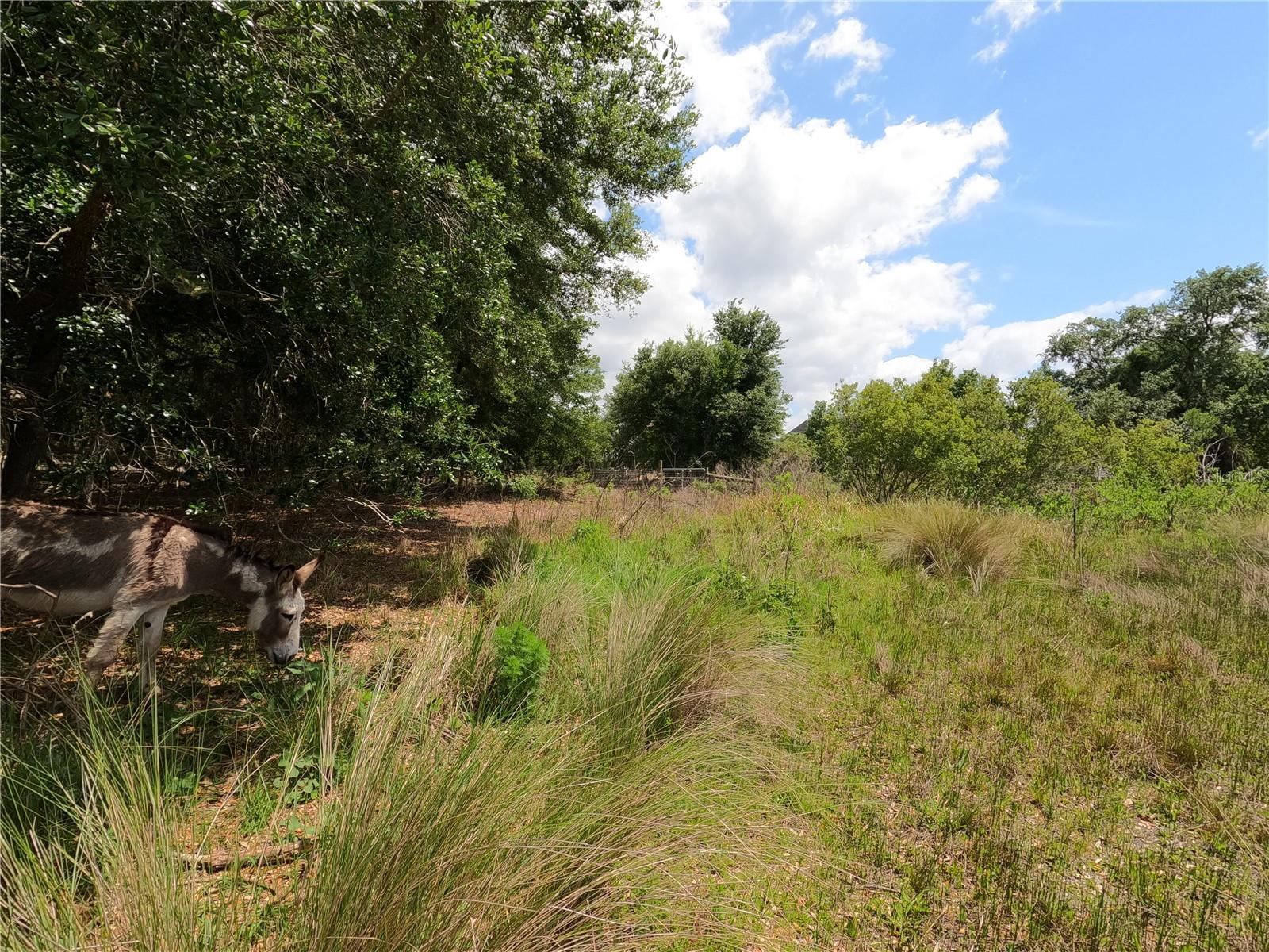 0 Earth Star Ln Property Photo 82