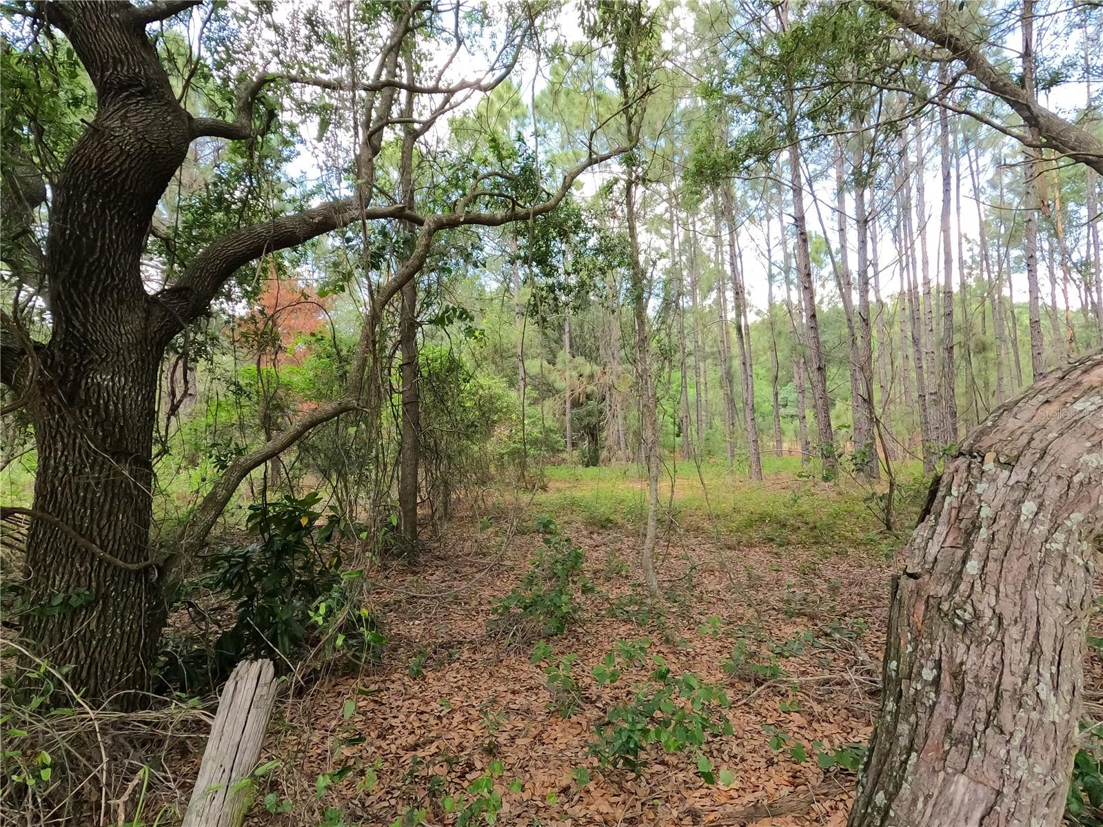 0 Earth Star Ln Property Photo 87