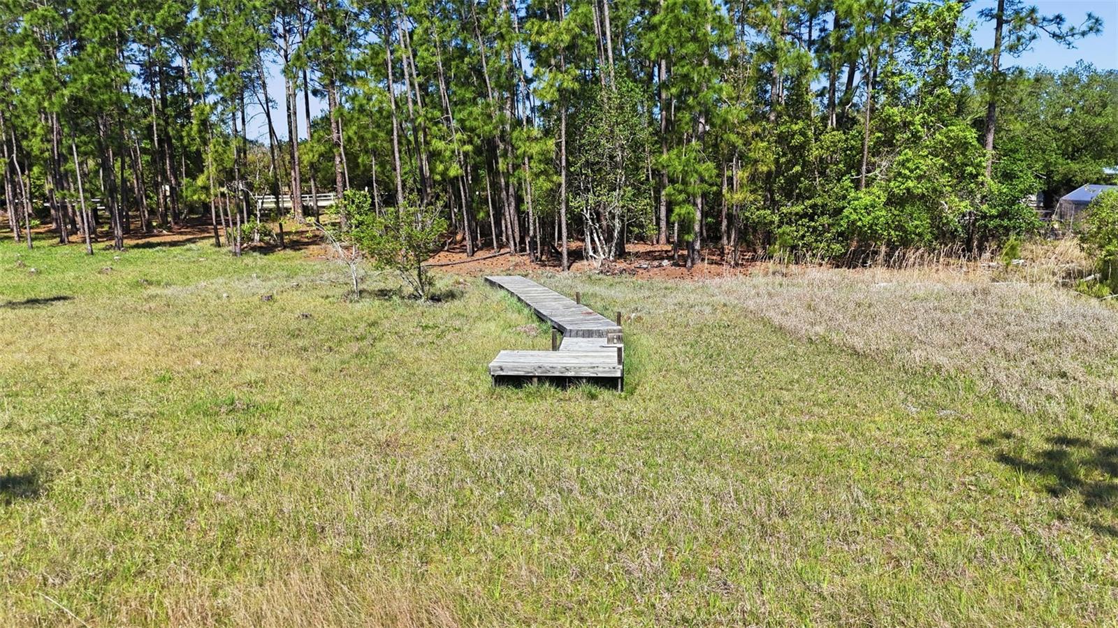 Tbd Holly Branch Rd Property Photo 5