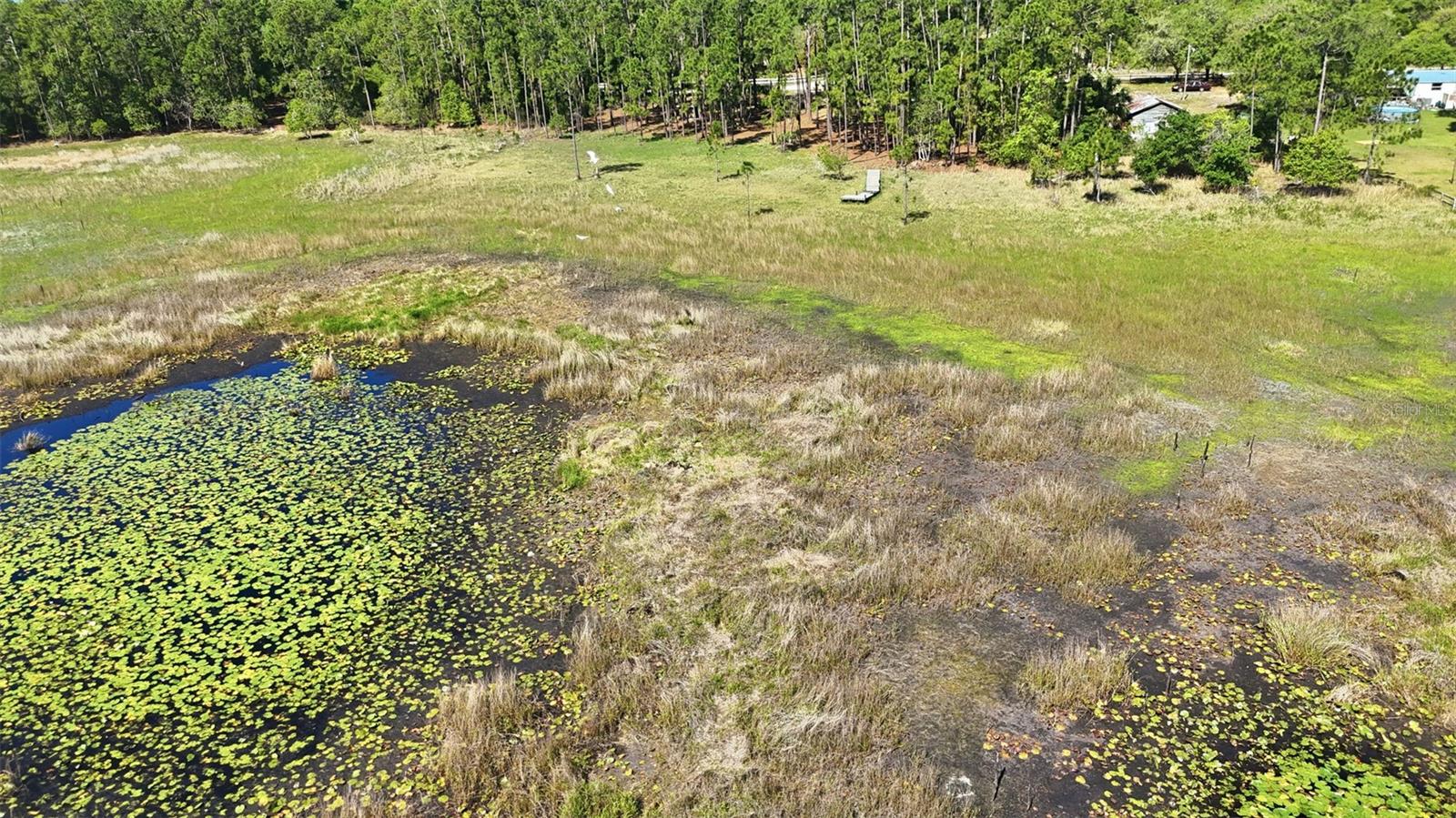 Tbd Holly Branch Rd Property Photo 7