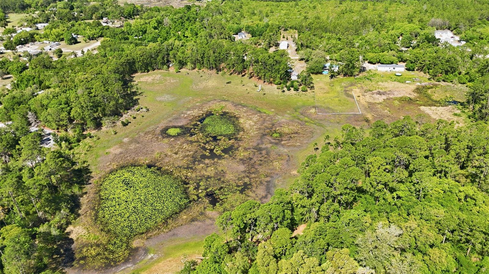 Tbd Holly Branch Rd Property Photo 10