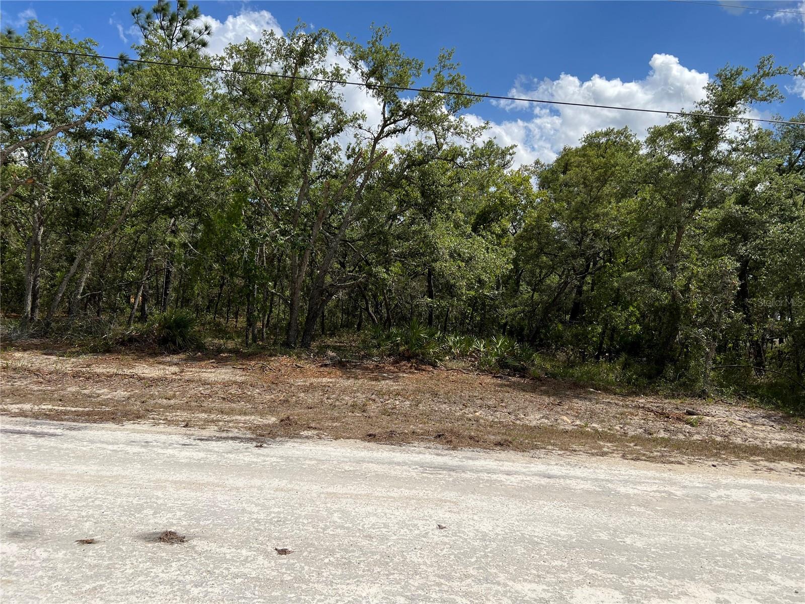 Sage Thrasher Ave Property Photo