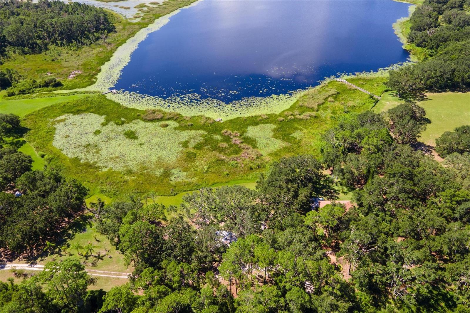 26833 Anderson Ranch Rd Property Photo 42