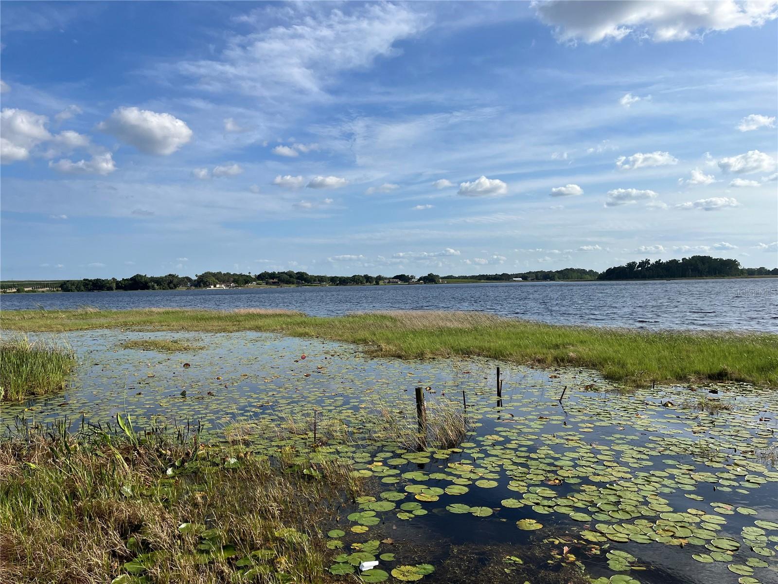 1794 Perch Hammock Loop Property Photo 56