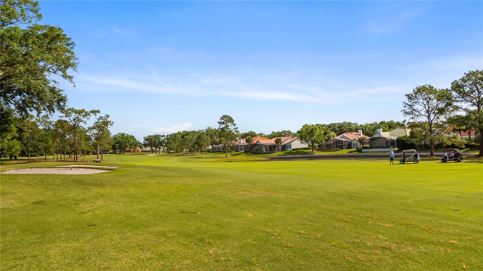 693 Stonefield Loop Property Photo 55