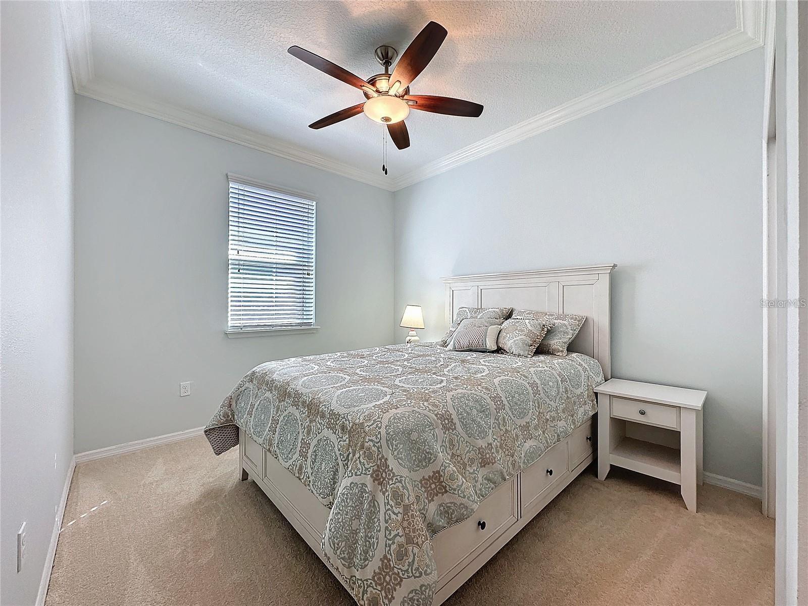 209 Silver Maple Rd Property Photo 15