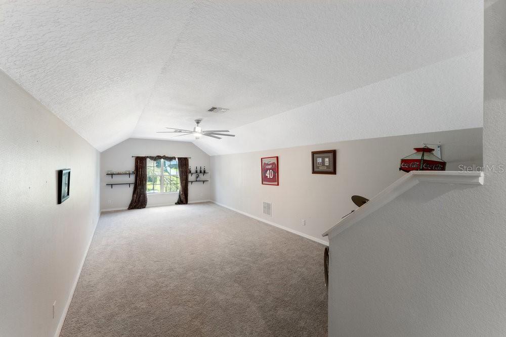 3463 Creek Run Ln Property Photo 45