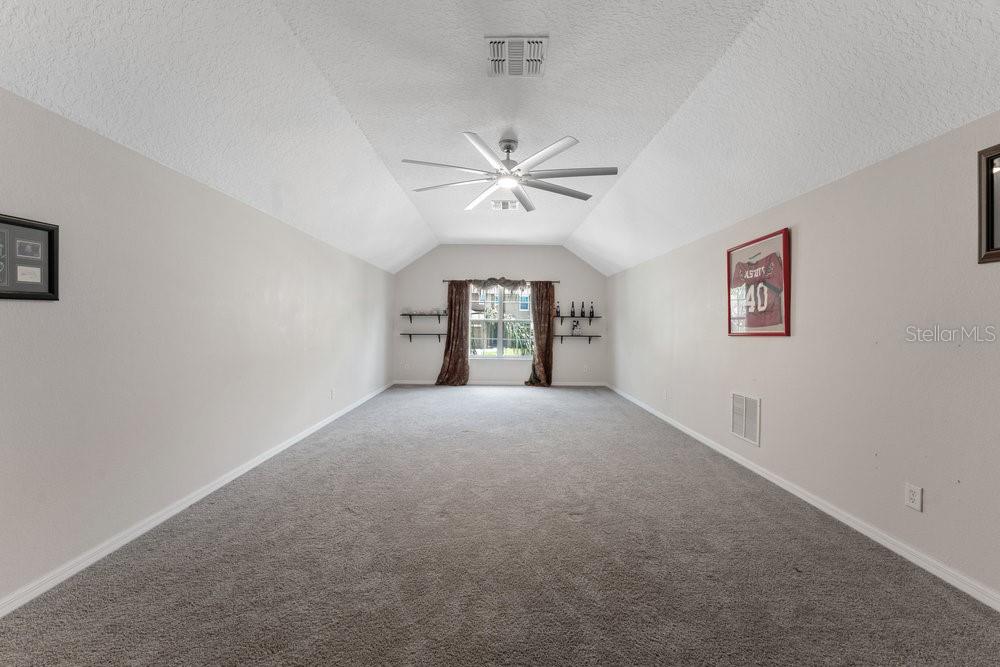 3463 Creek Run Ln Property Photo 47