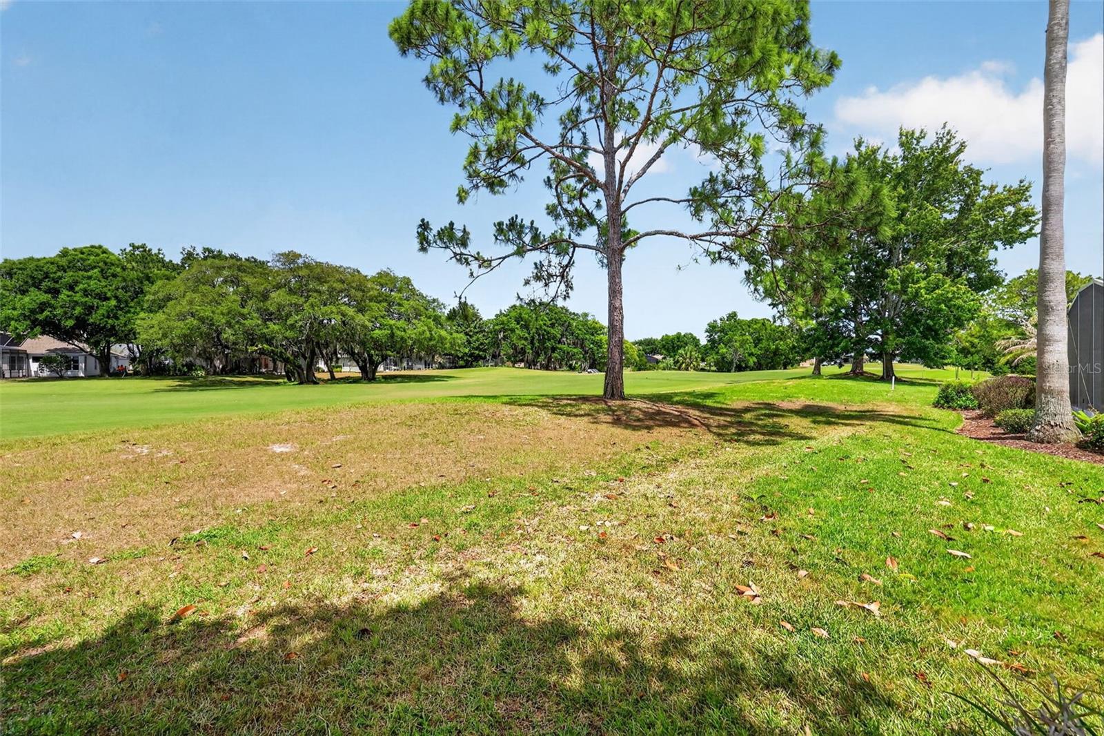 8011 Pine Hollow Dr Property Photo 44