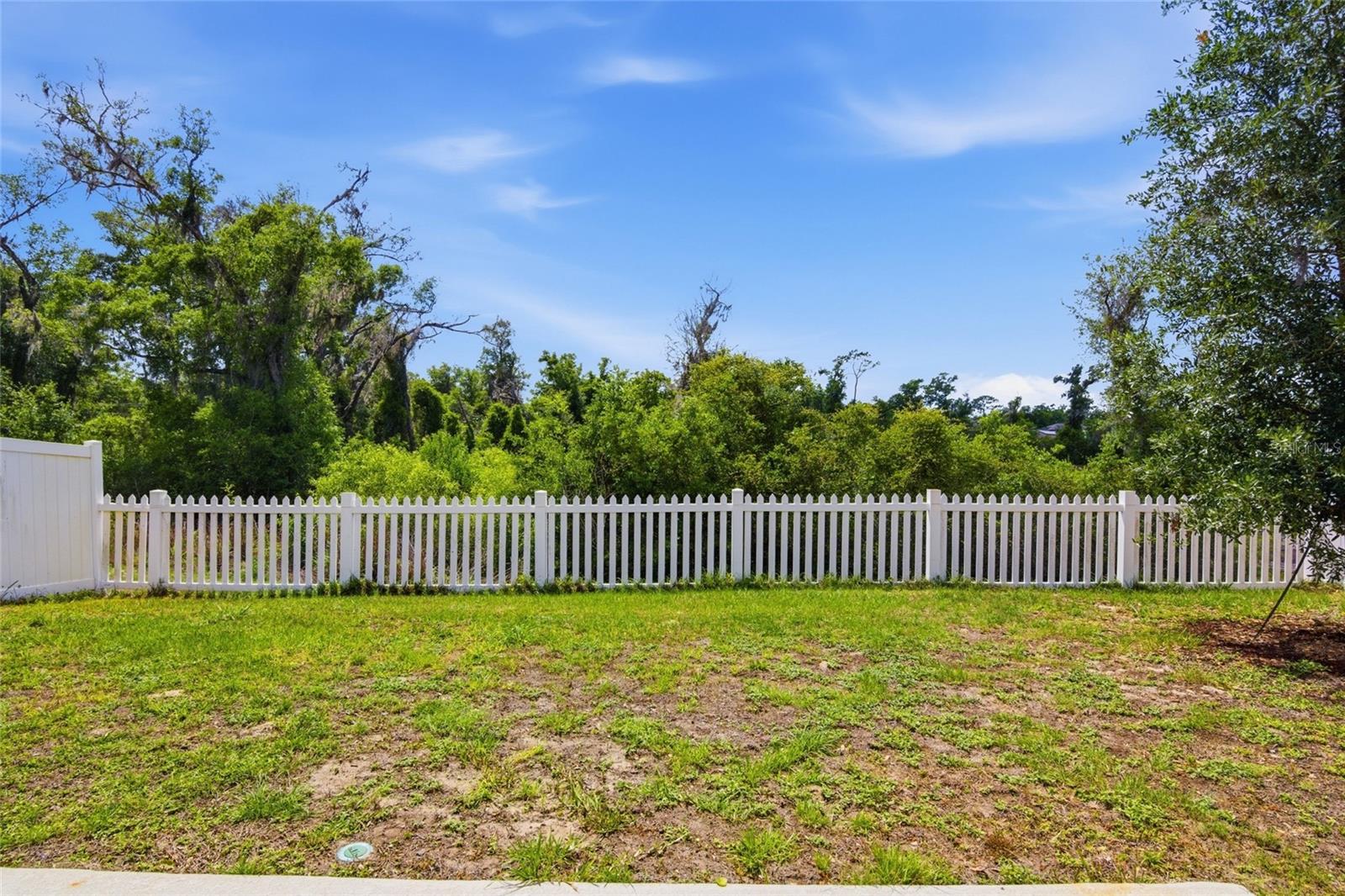 2004 Buckhanon Trl Property Photo 18