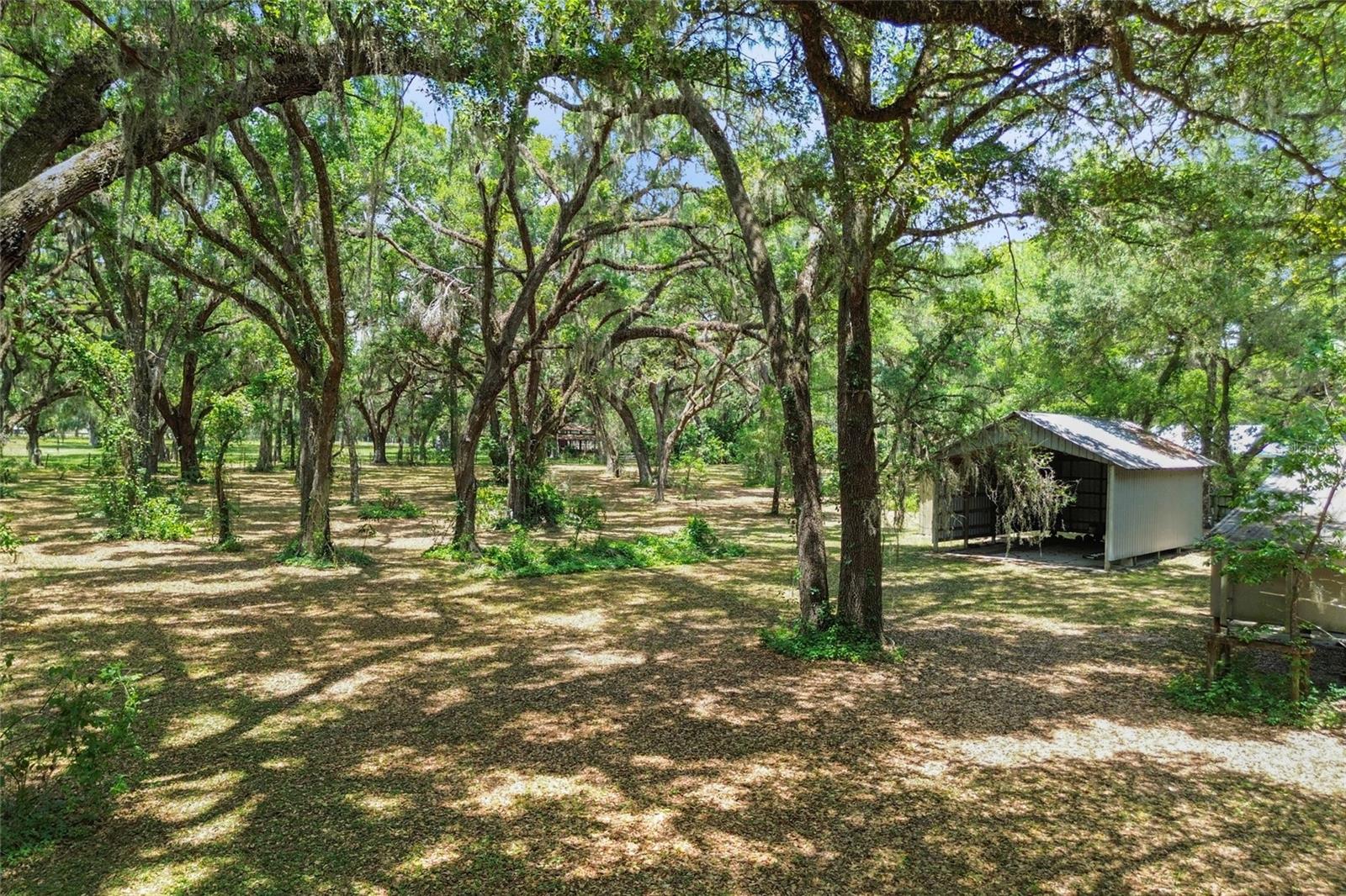1153 Cr 722 Property Photo 63