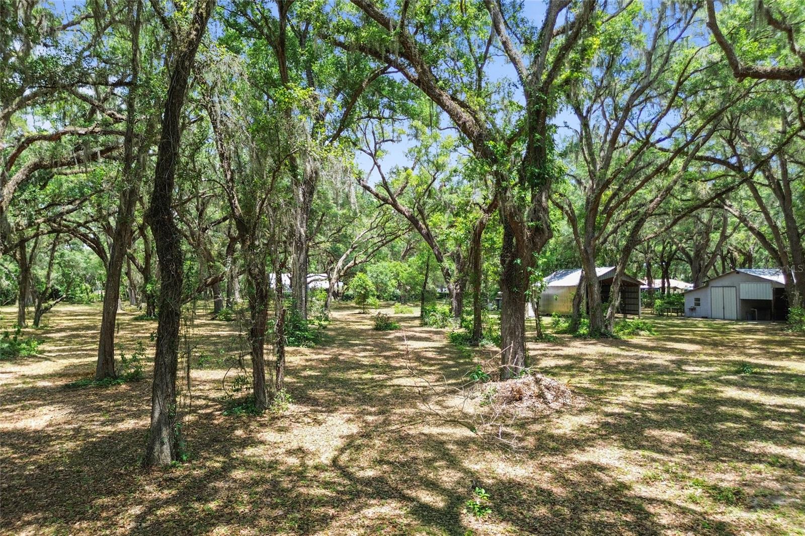 1153 Cr 722 Property Photo 64