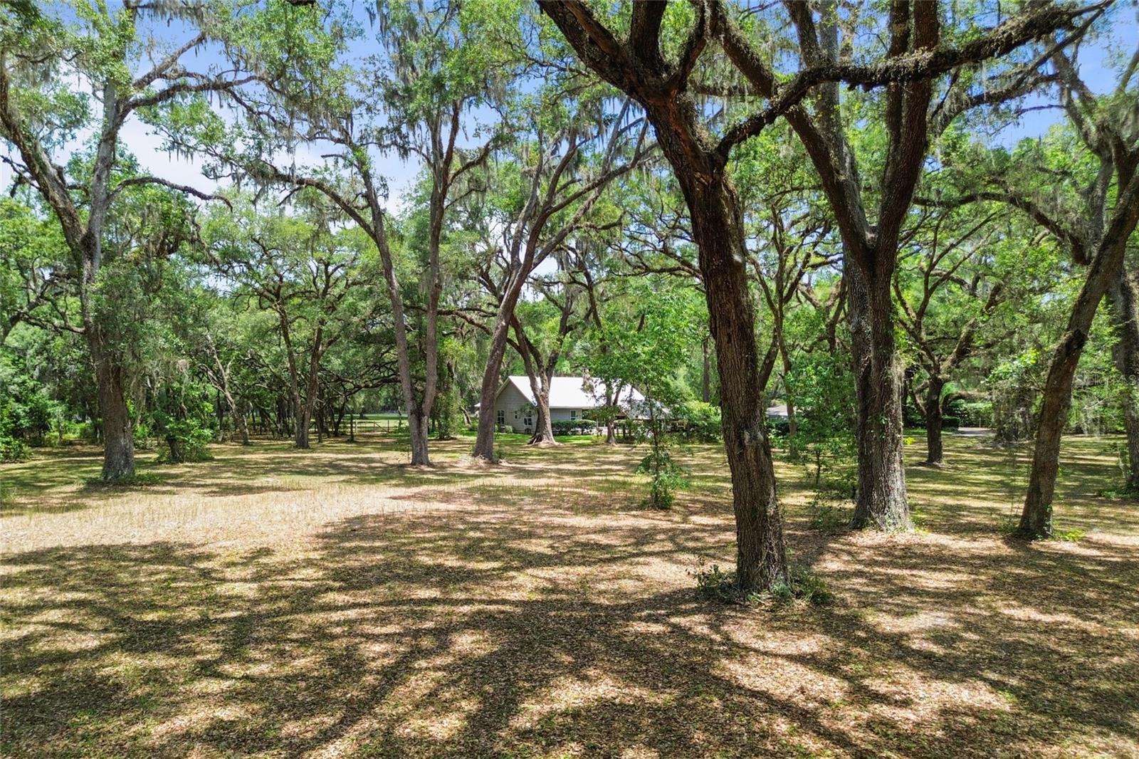 1153 Cr 722 Property Photo 66