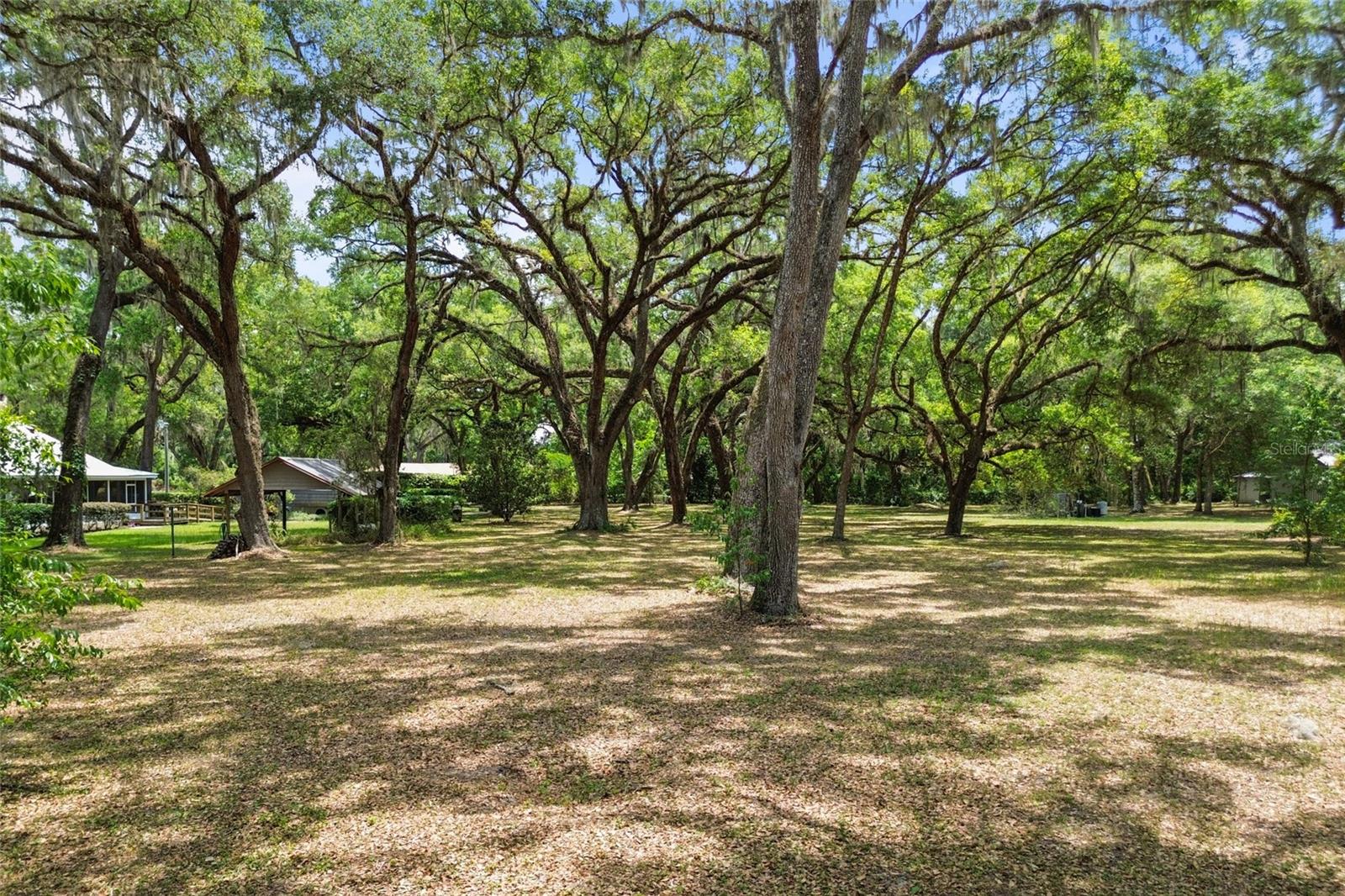 1153 Cr 722 Property Photo 67