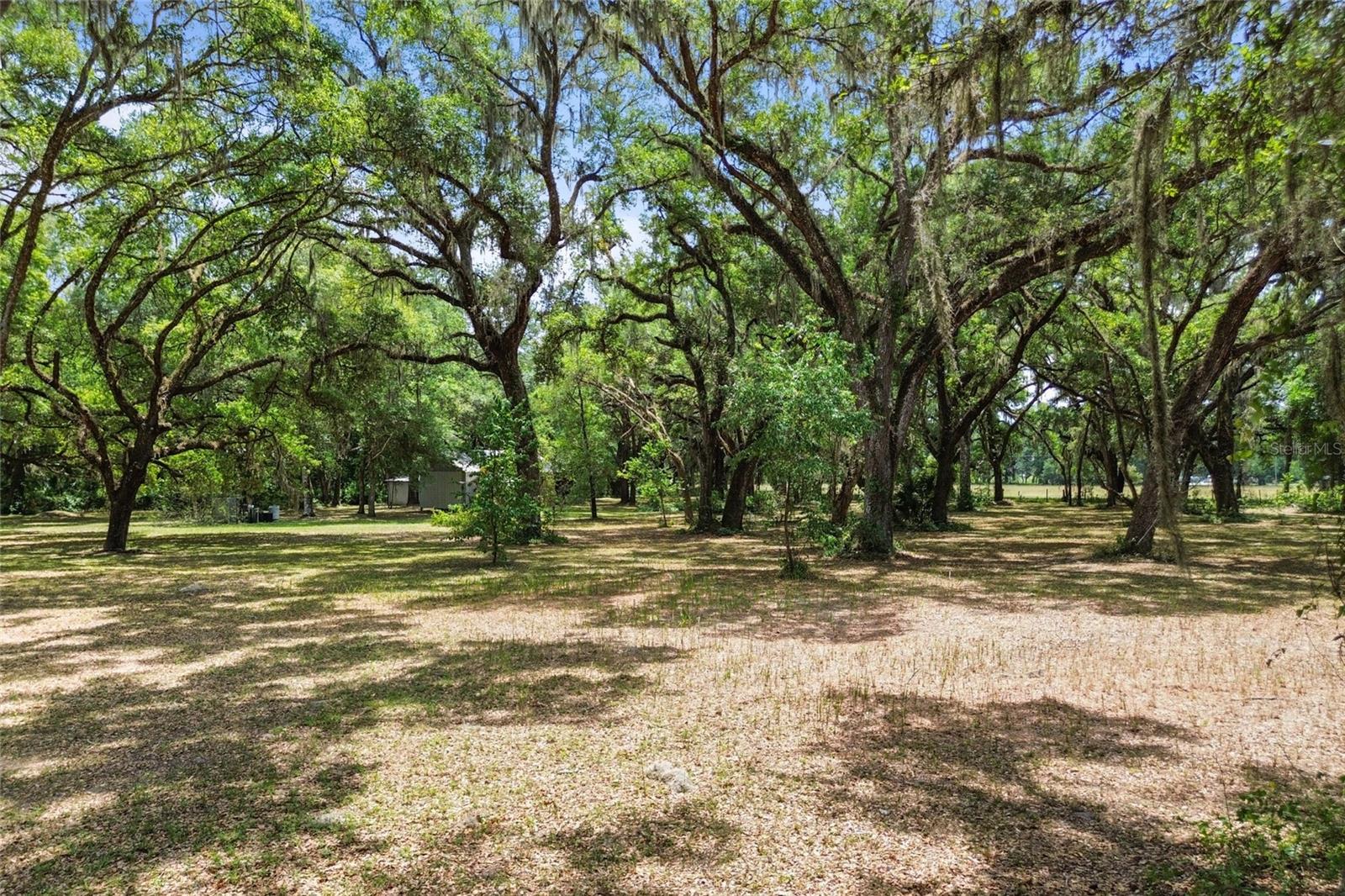 1153 Cr 722 Property Photo 68