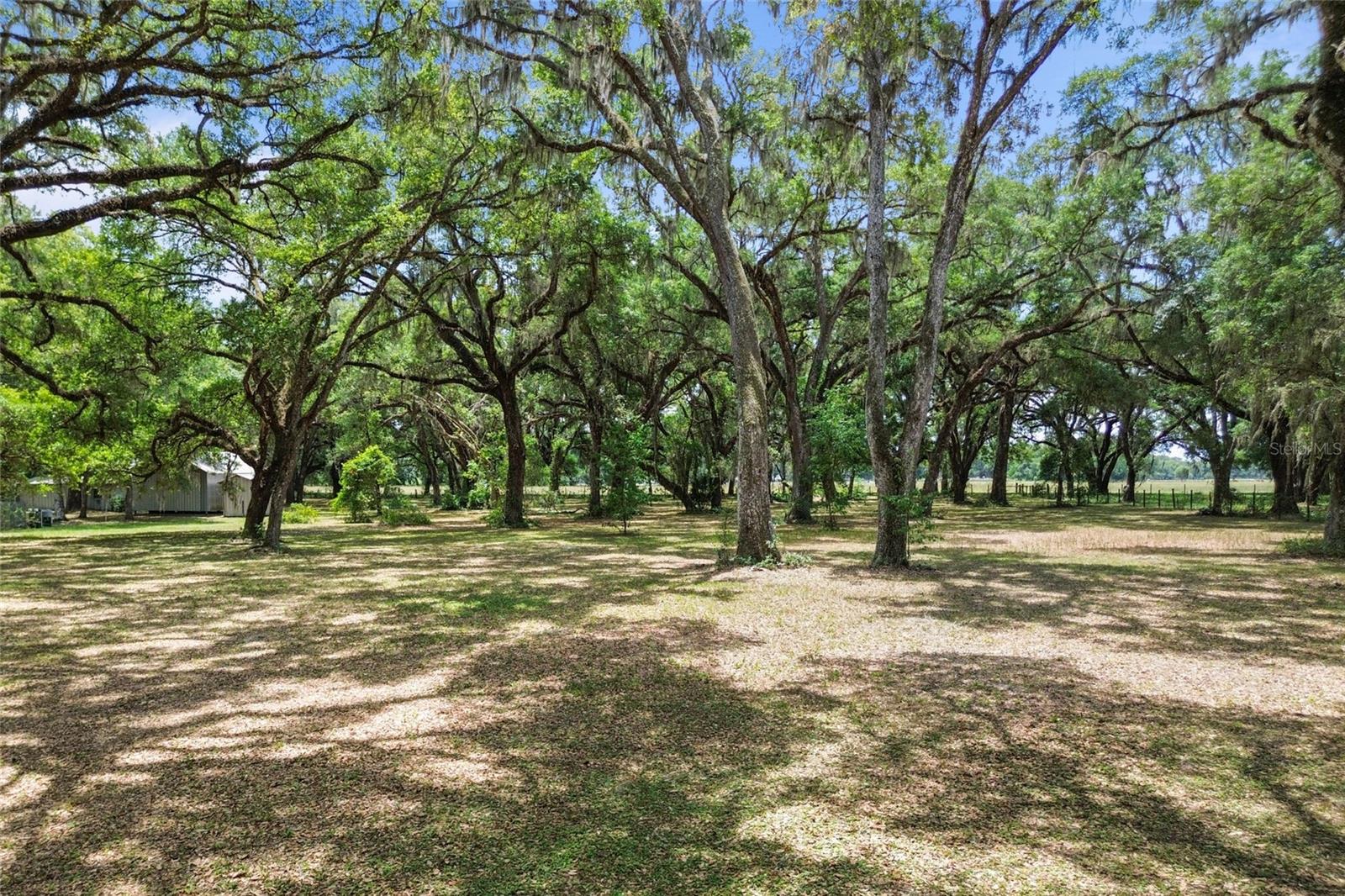 1153 Cr 722 Property Photo 69