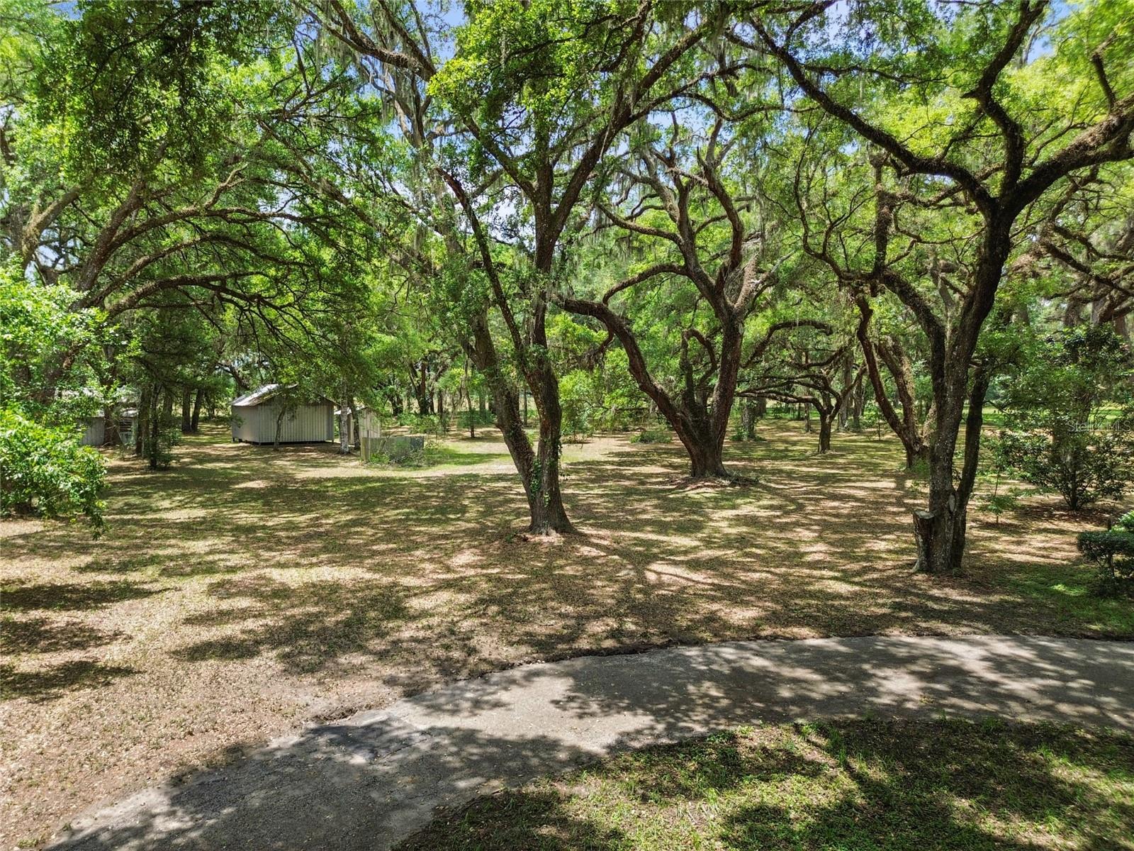 1153 Cr 722 Property Photo 70