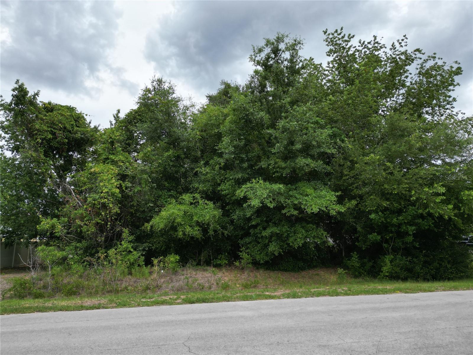 Pine Course Property Photo 4
