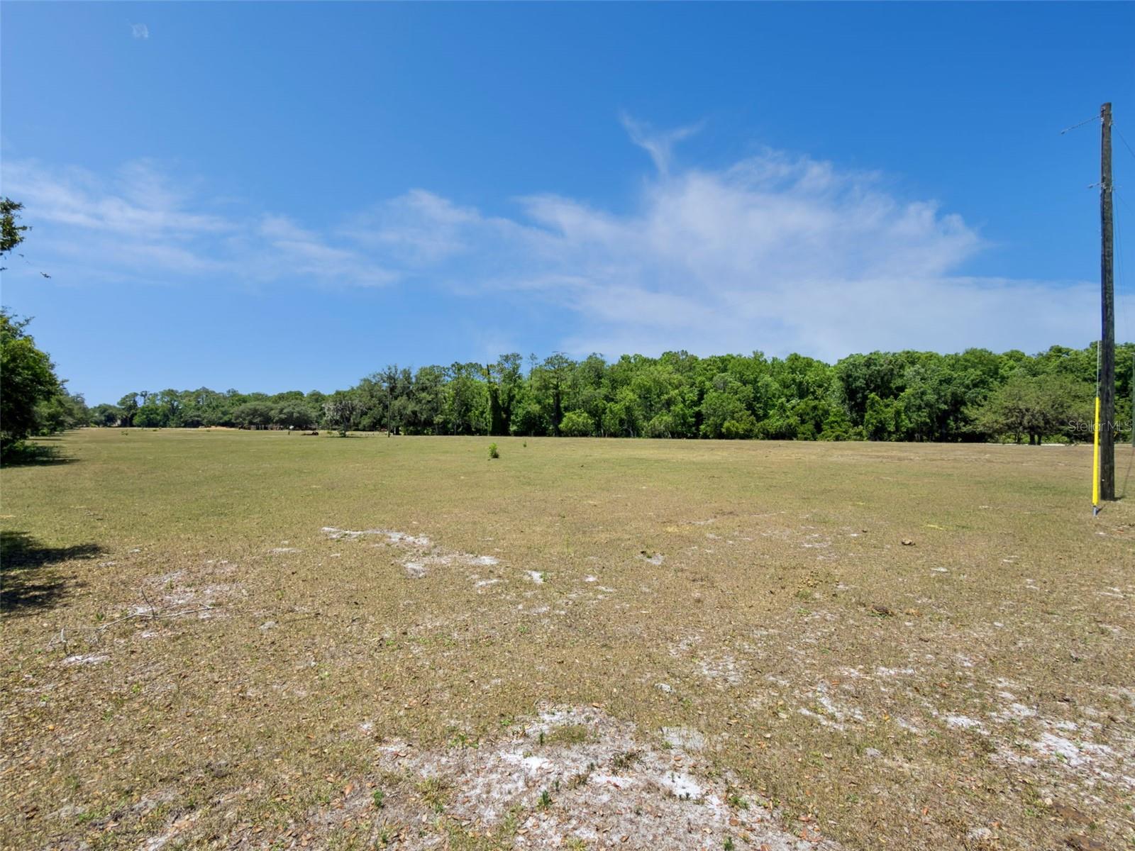 Blue Jay Way Property Photo 6