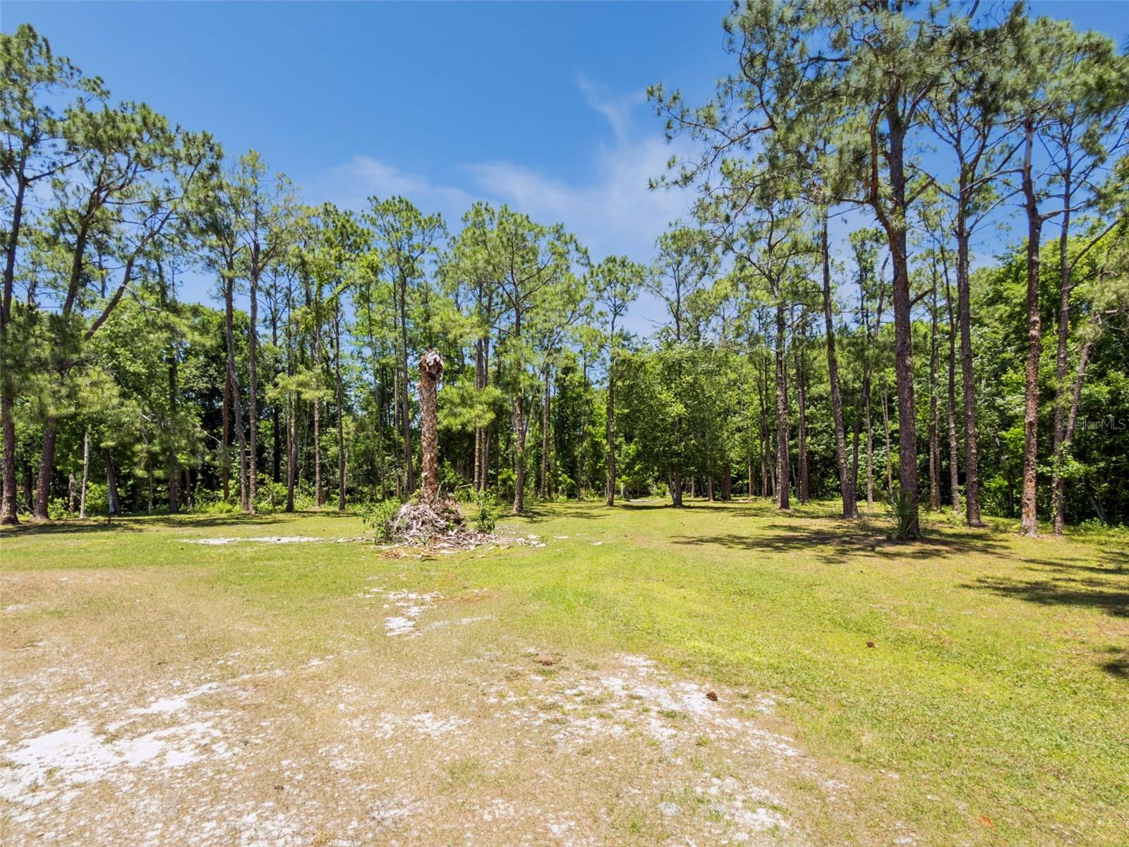 Blue Jay Way Property Photo 8