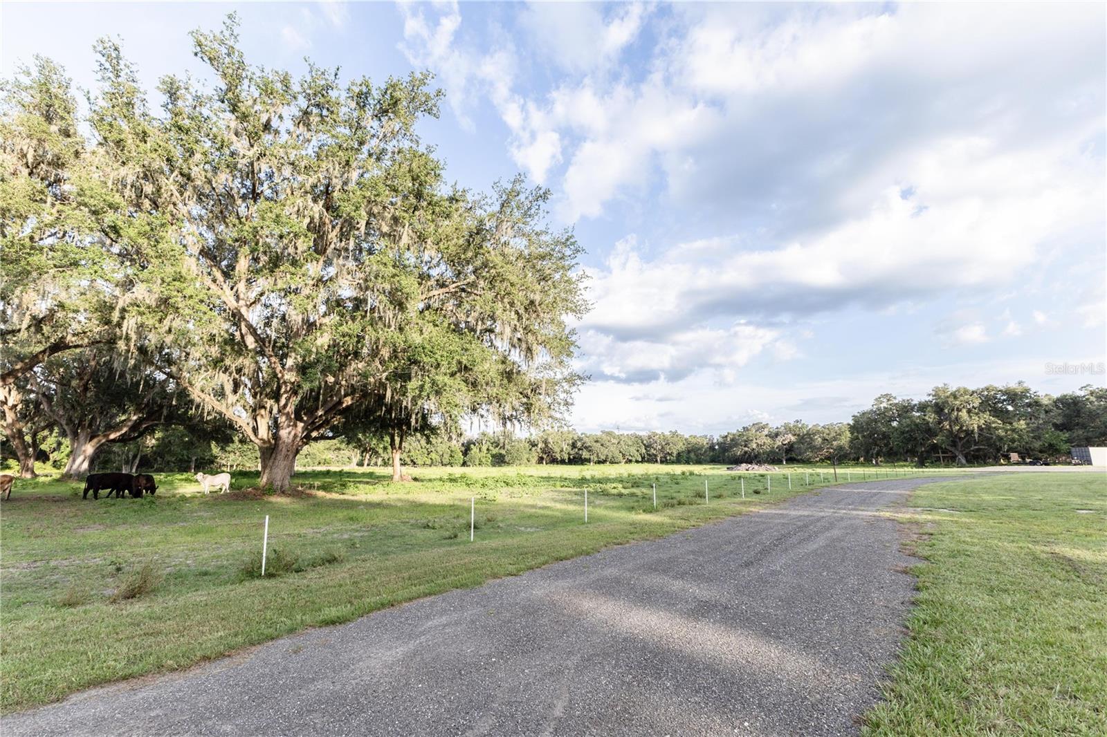 12523 Cr 721 Property Photo 58