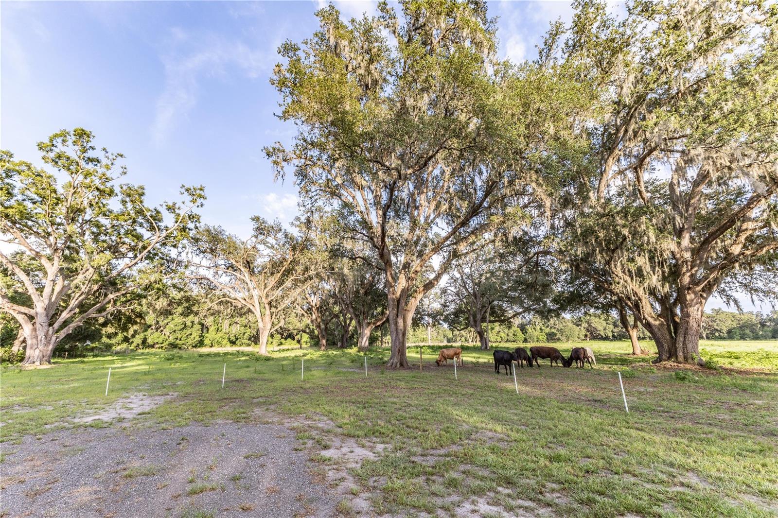 12523 Cr 721 Property Photo 60