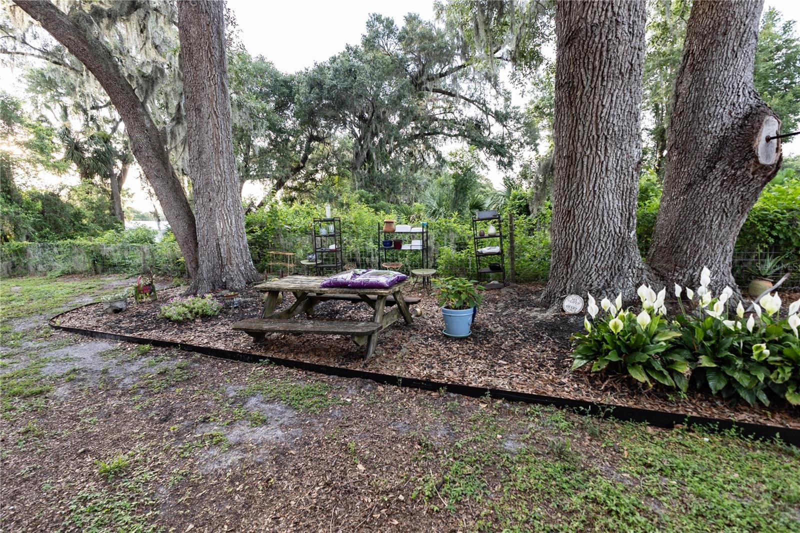 12523 Cr 721 Property Photo 66