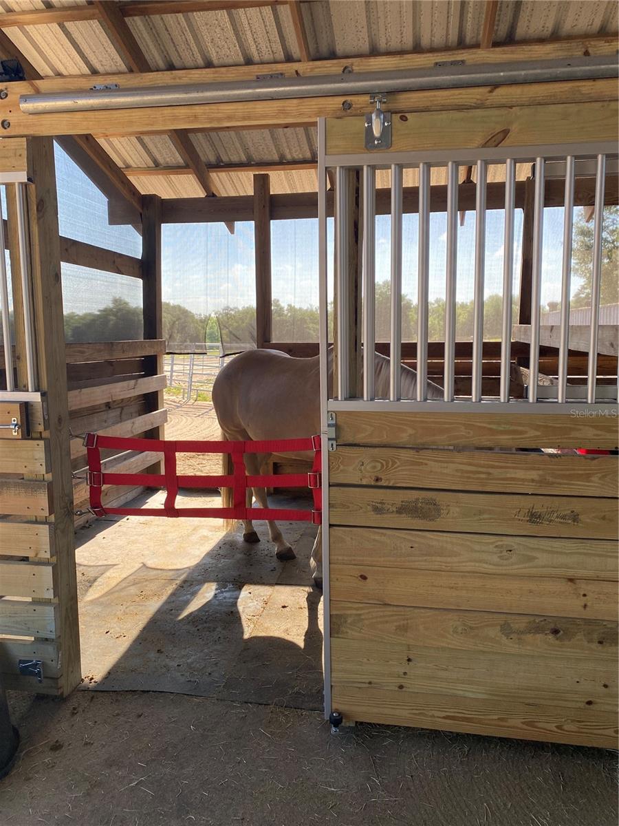 16131 Johns Lake Rd Property Photo 29