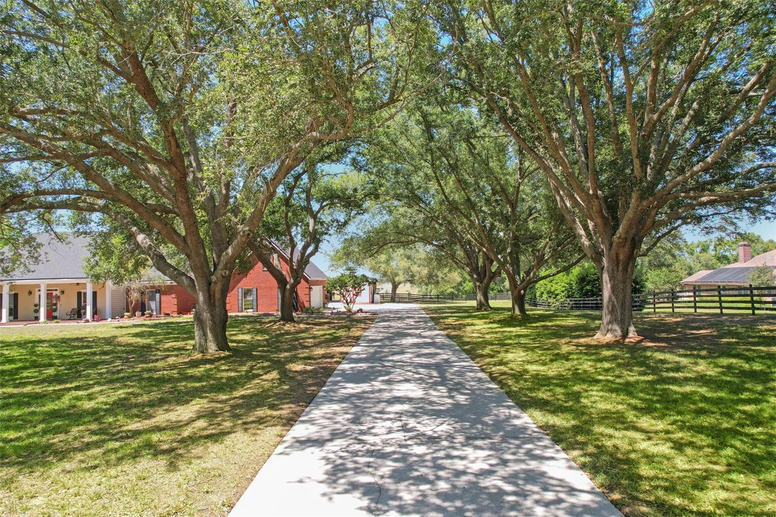 14951 Thoroughbred Ln Property Photo 2