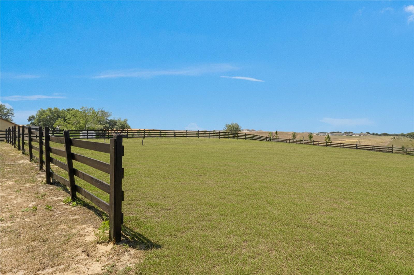 14951 Thoroughbred Ln Property Photo 54
