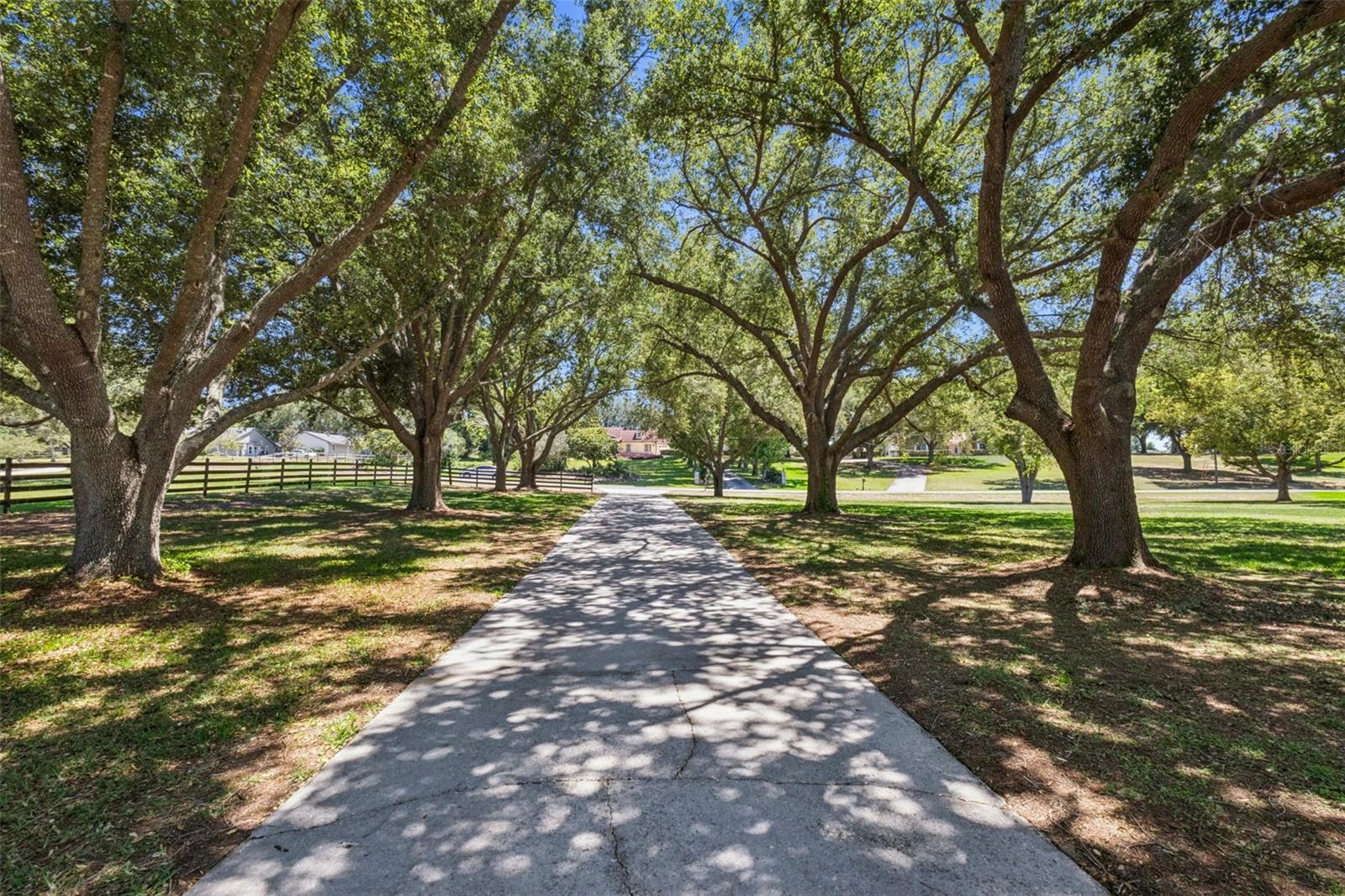 14951 Thoroughbred Ln Property Photo 57