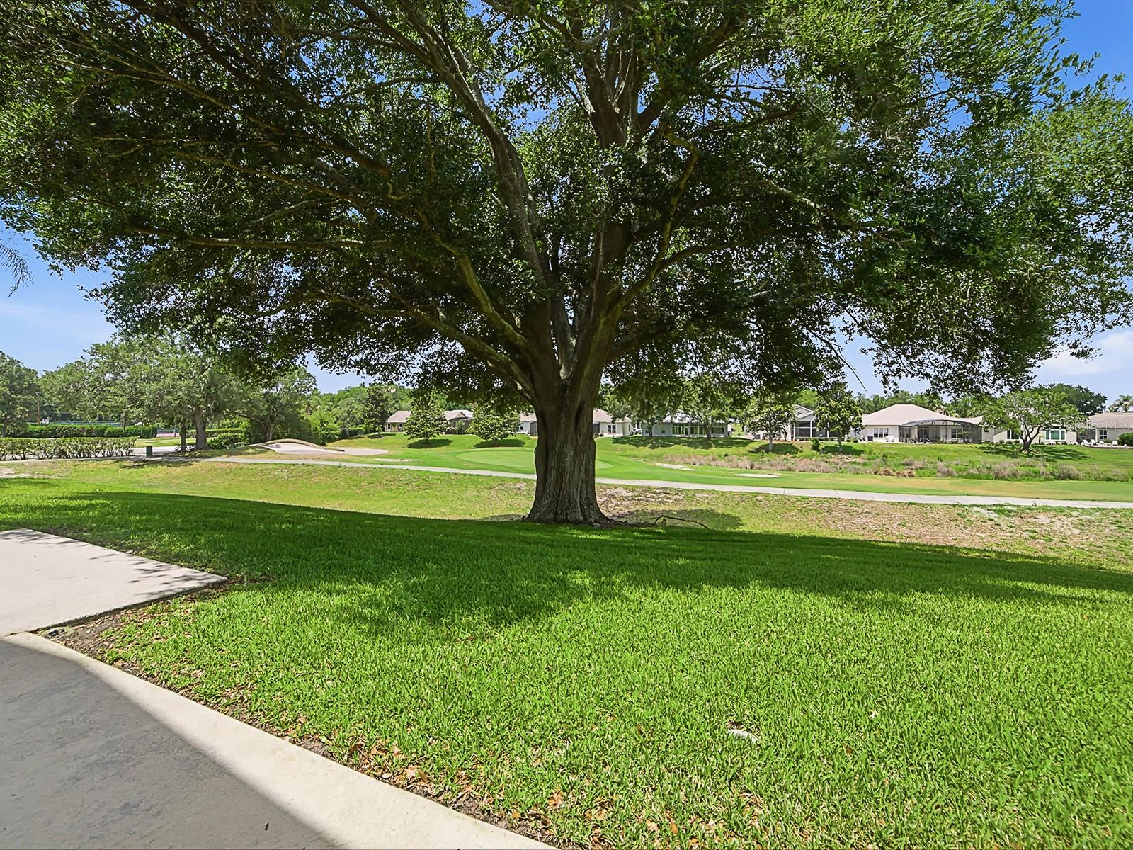 5106 Chanticleer Dr Property Photo 38