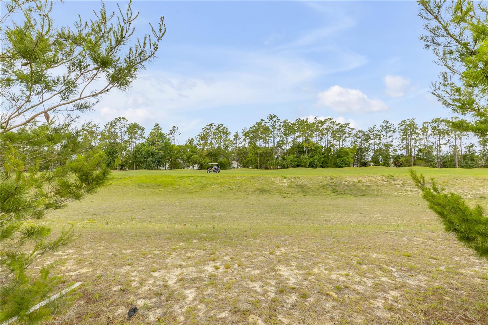 48 Hickory Crse Property Photo 42