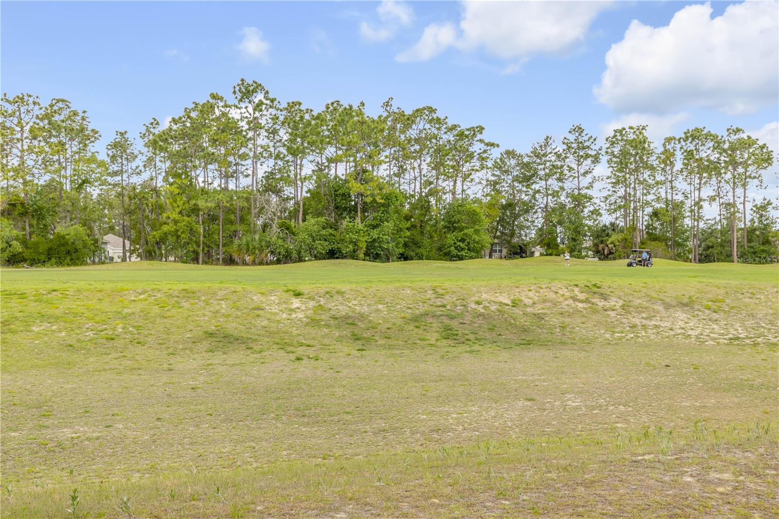 48 Hickory Crse Property Photo 44