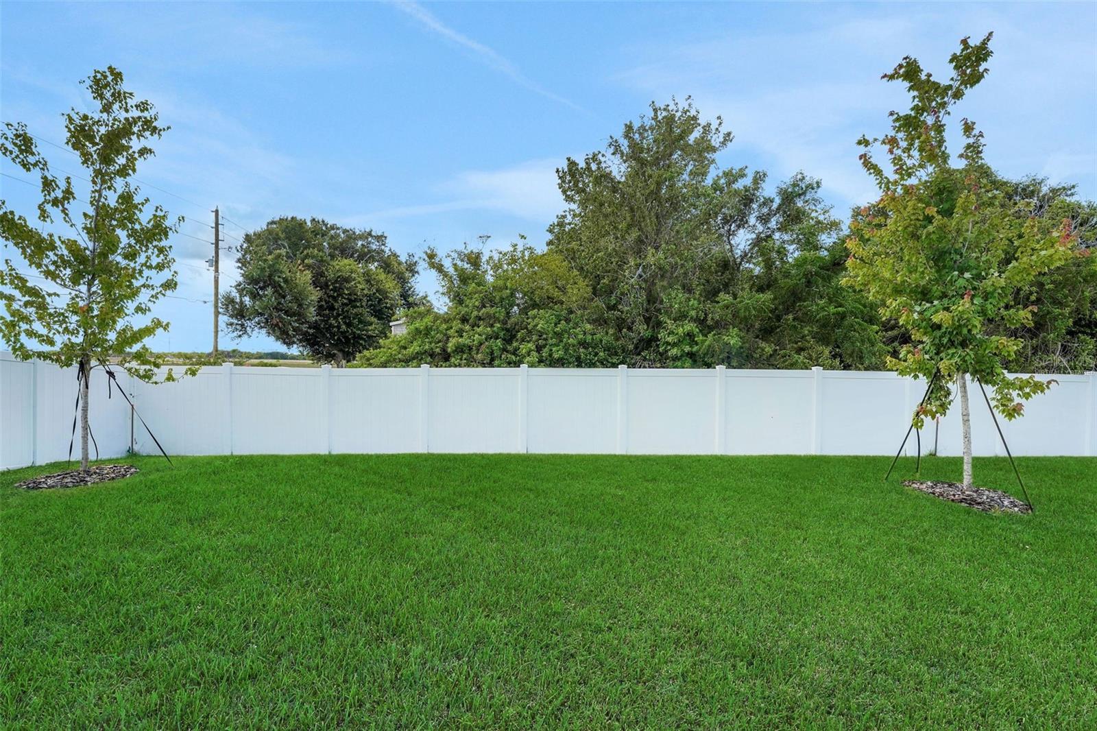 5055 Abigail Dr Property Photo 31