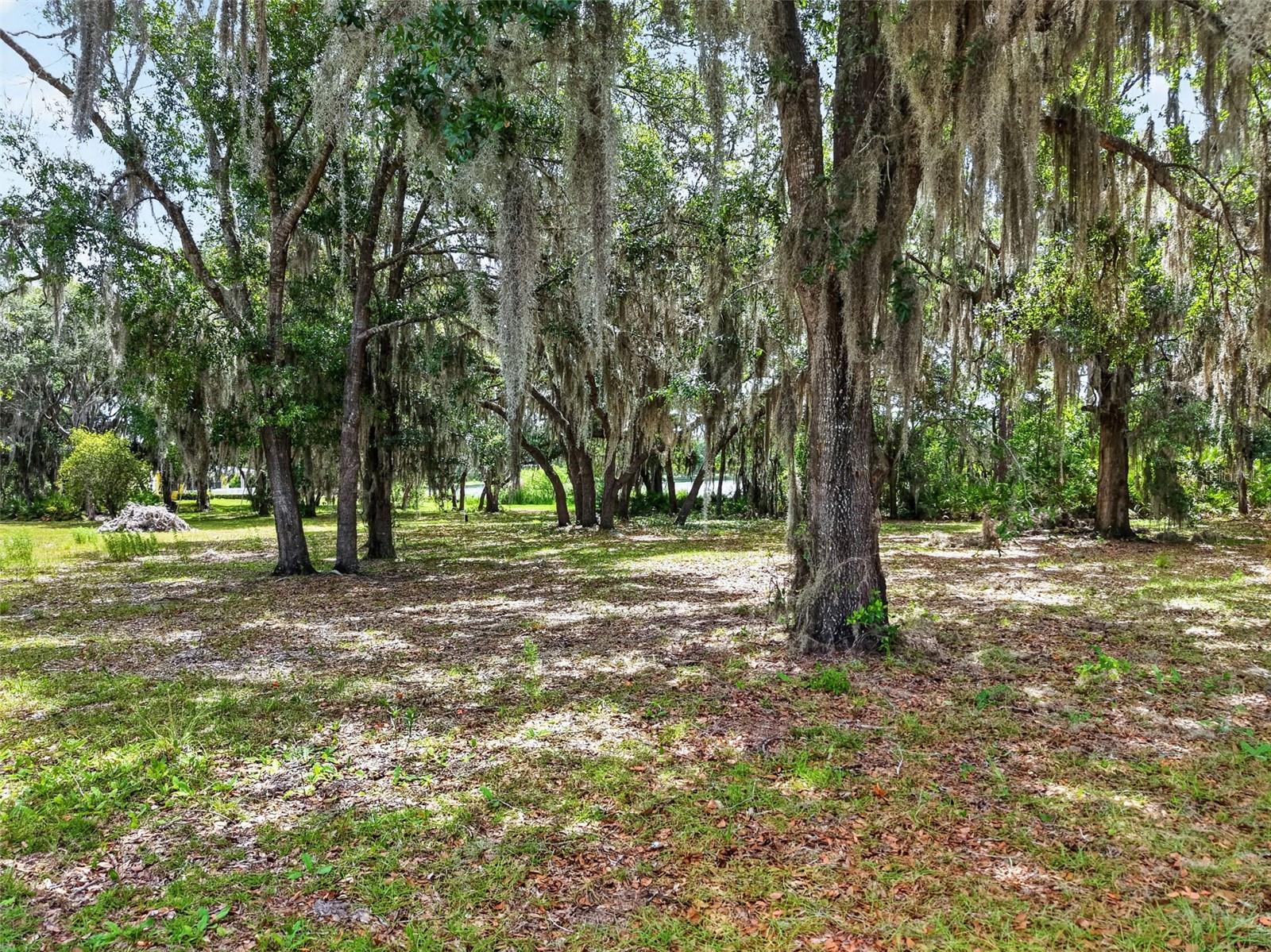 493 Malauka Loop Property Photo 53