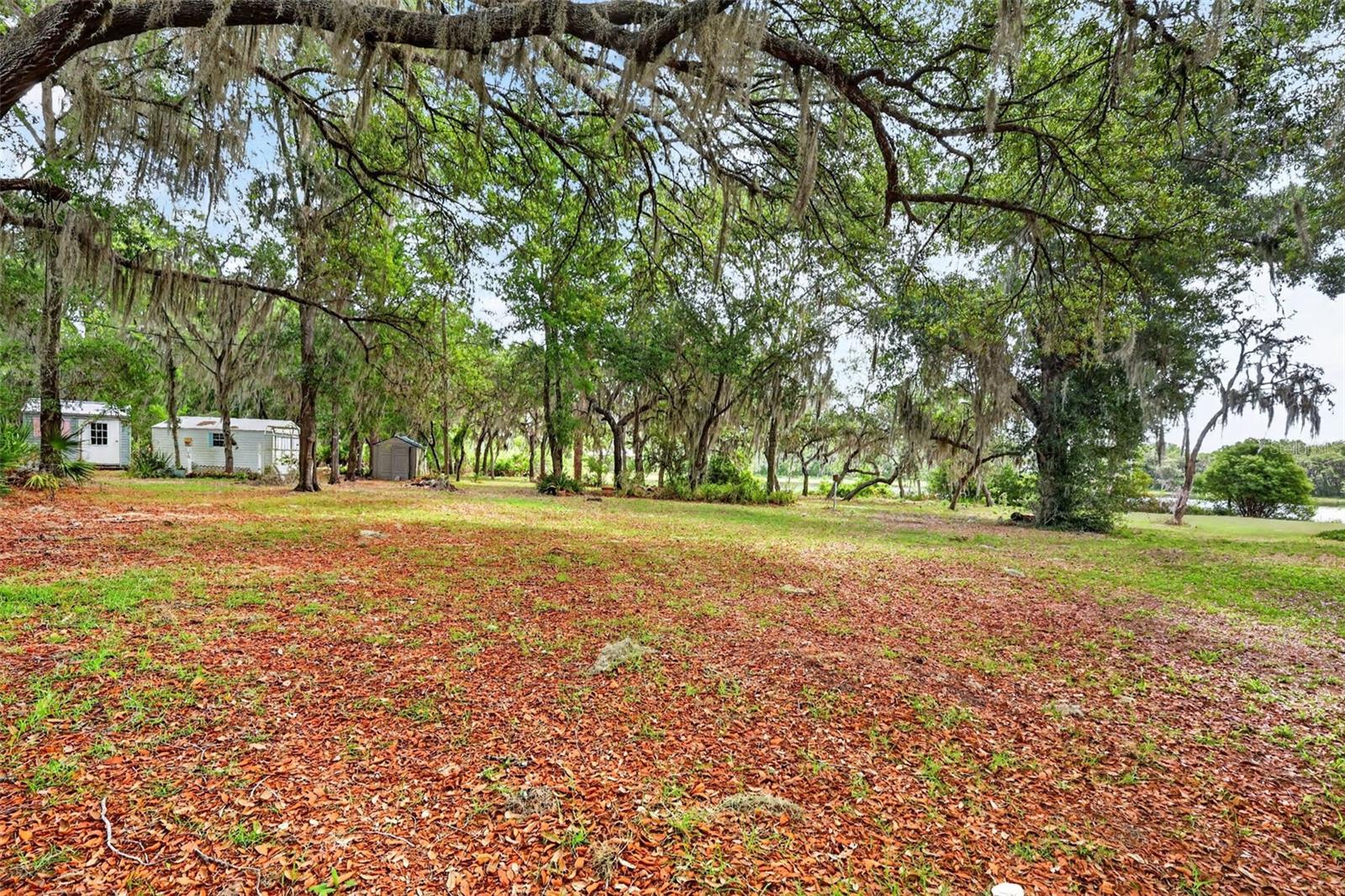 493 Malauka Loop Property Photo 54
