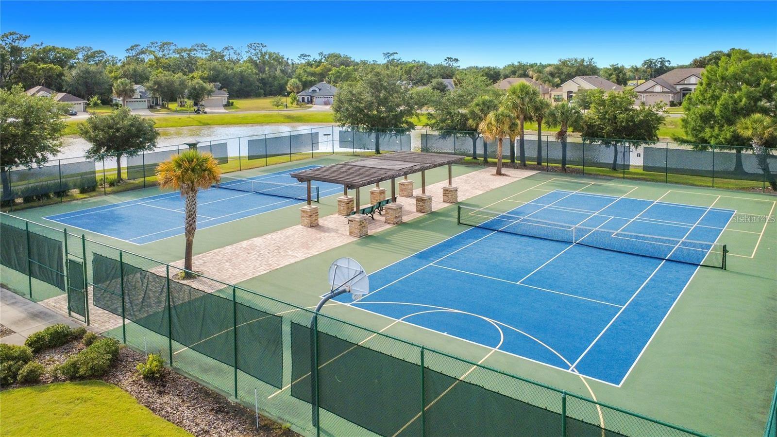 8461 Bridgeport Bay Cir Property Photo 42