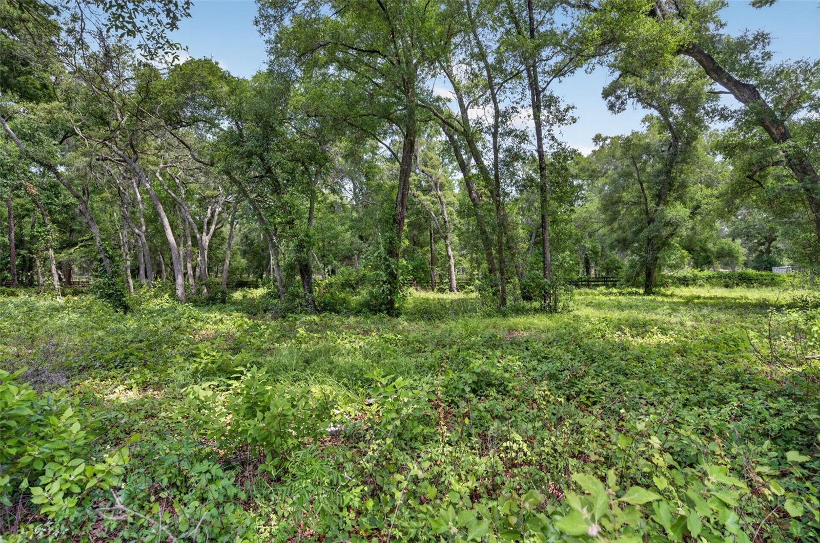 20621 Shady Oak Ln Property Photo 52
