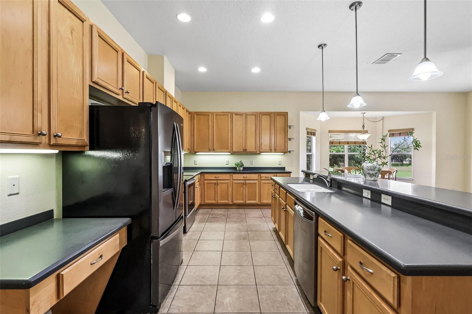 3538 Mulberry Grove Loop Property Photo 21
