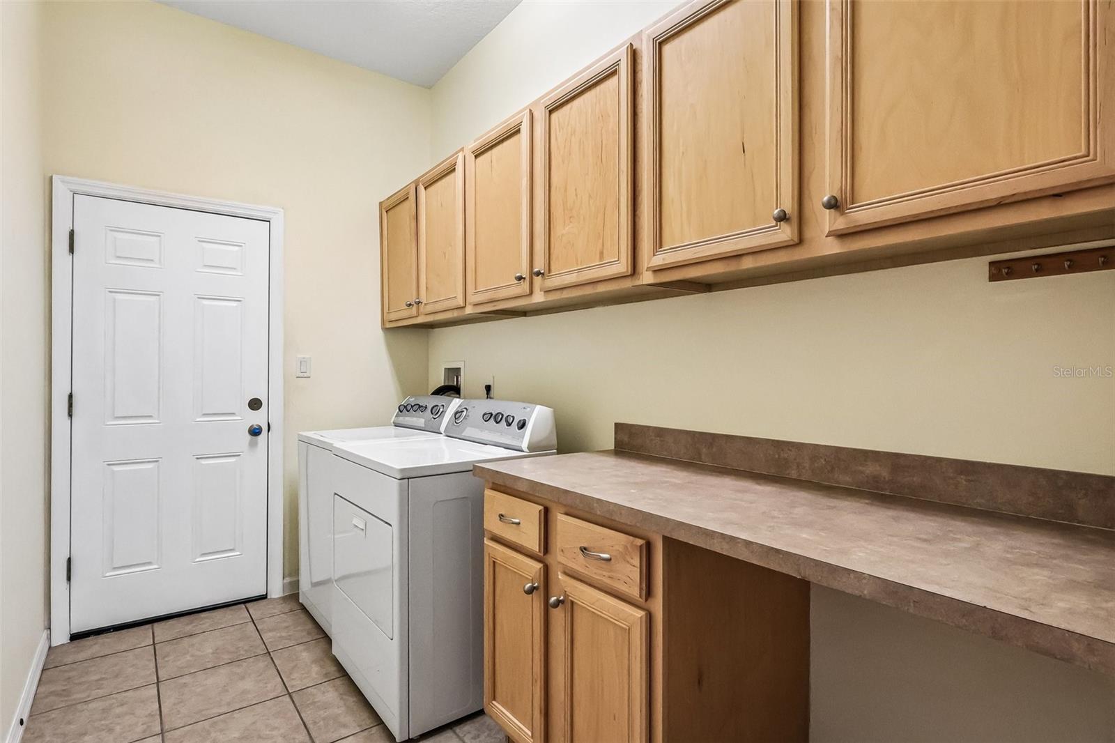 3538 Mulberry Grove Loop Property Photo 33