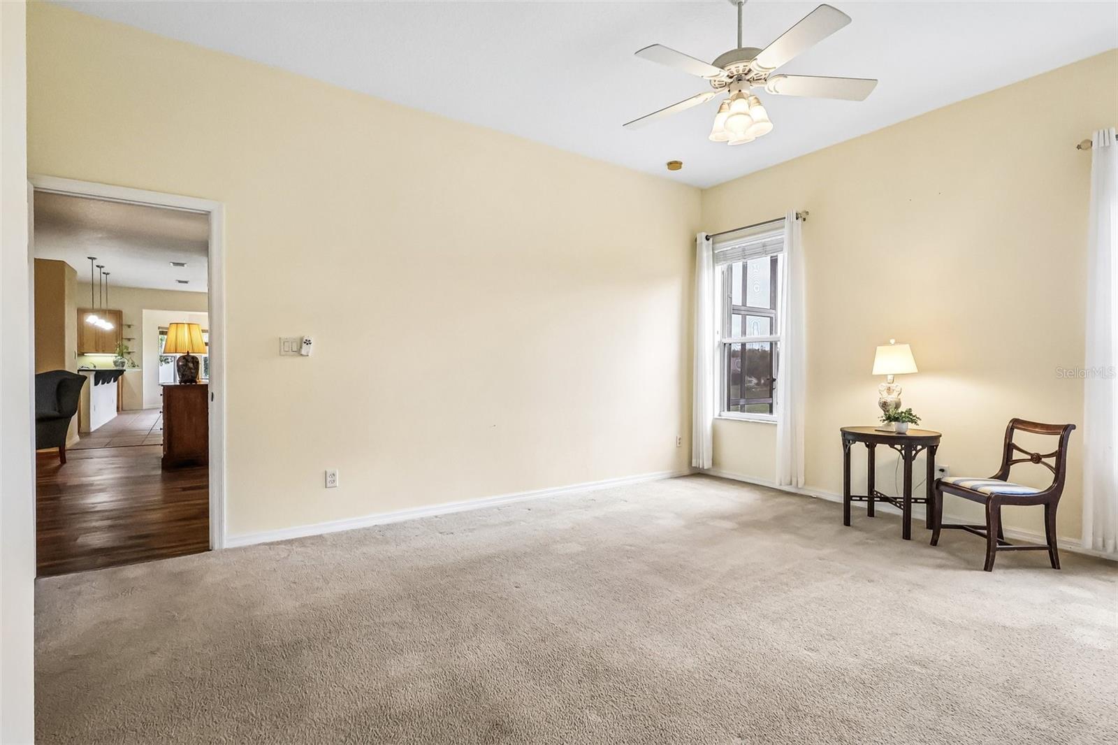 3538 Mulberry Grove Loop Property Photo 40