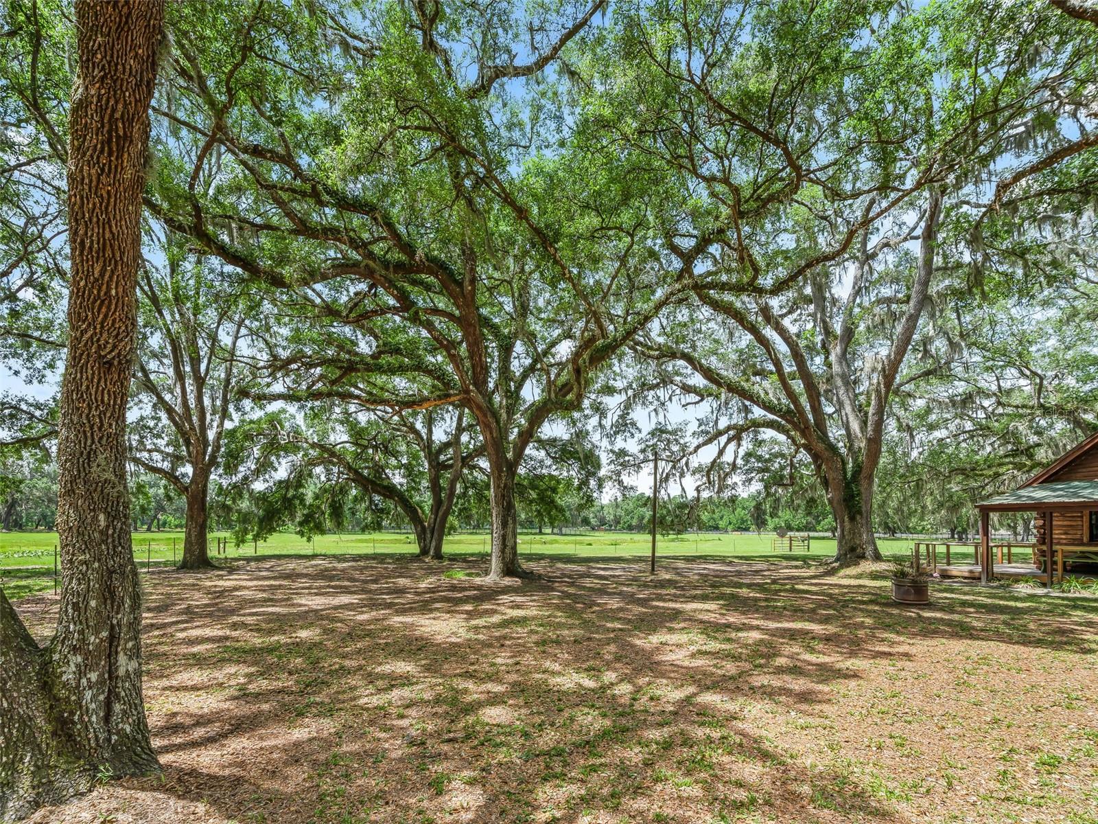 4801 County Road 575 Property Photo 40